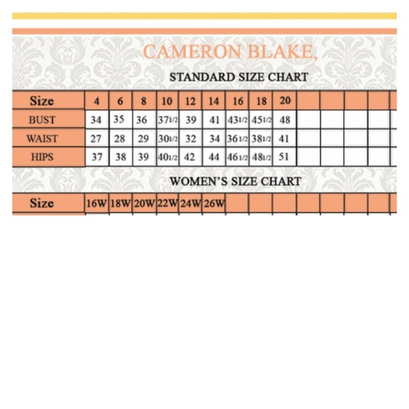 Cameron Blake pewter for Mon Cheri formal gown - Picture 6 of 6